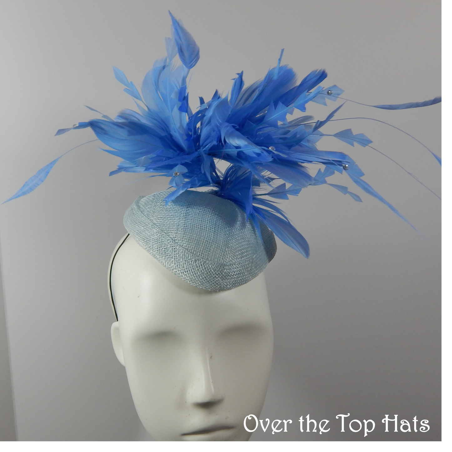 Blue Percher Hat with Feathers