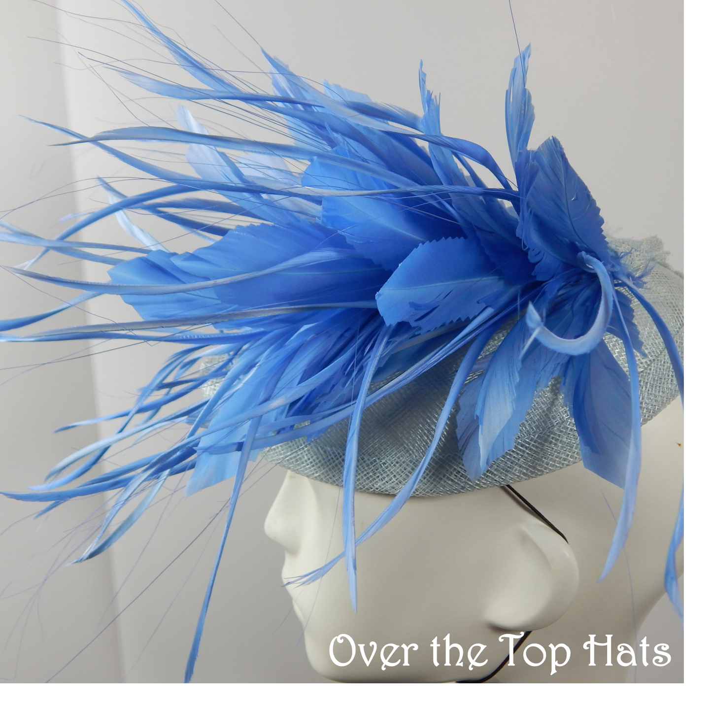 Blue Percher Hat with Feathers